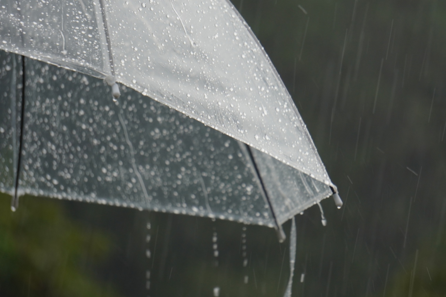 台風に強い家の特徴とは？耐風性能の基準と地域別の対策ポイントを解説のイメージ