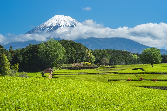 【2025年静岡県版】リフォーム・リノベーションで使える補助金