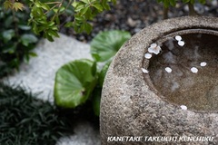 古き良き日本の家　純和風の家づくりをしています。　一棟入魂の家造り　㈱カネタケ竹内建築