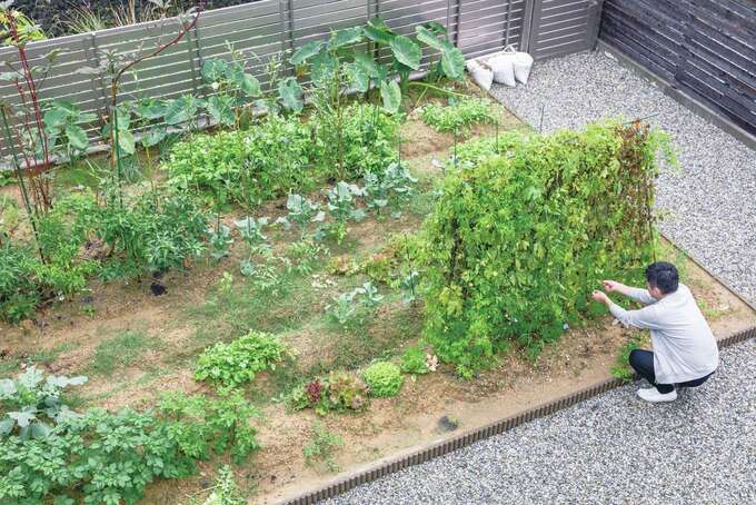 自給自足のスローライフを楽しめる家庭菜園