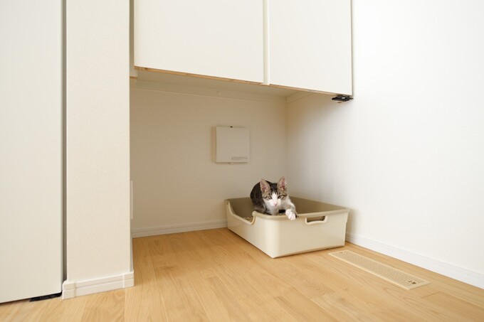 リビング収納の下部スペースに換気扇を設置した、猫ちゃんのトイレ空間。