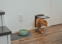 見た目と臭いが気にならないよう、階段下の収納スペースに猫専用のトイレを置き、穴から出入りできるように猫穴を造作。ミロはすぐに使いこなせるようになったそう【nattoku住宅】