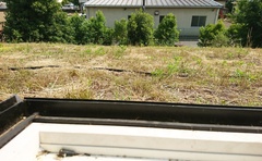 簡単に草屋根に出られるのがポイント。身近な存在にしてこそ、その恩恵をしっかりと受けられるのです。（屋上庭園とは少し違うのですがカテゴリーに選択肢がなくすみません）【つなぐ家・いづみ建設】
