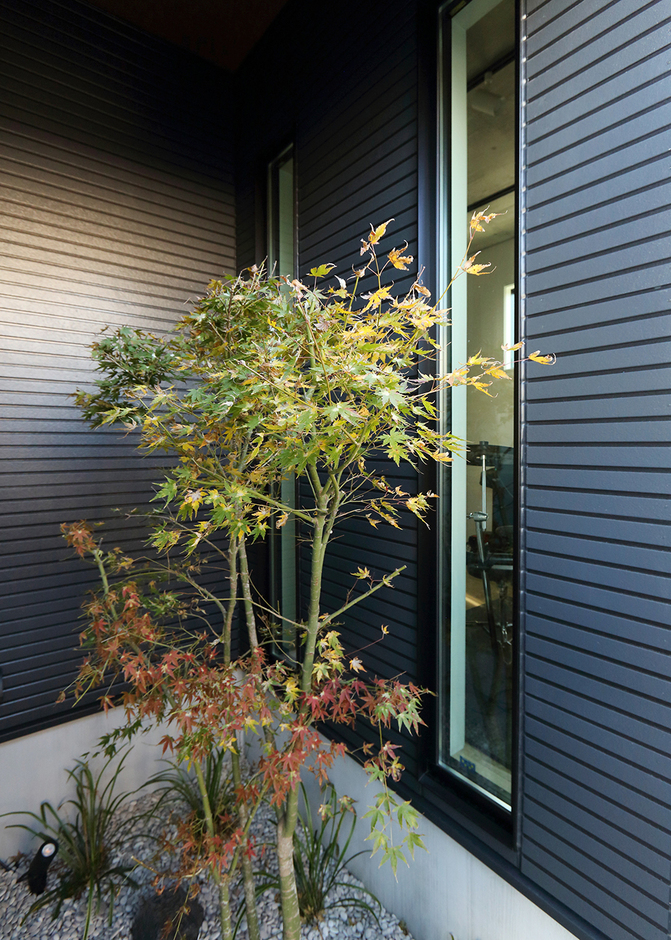 玄関や趣味部屋から緑が見えるように中庭を配置