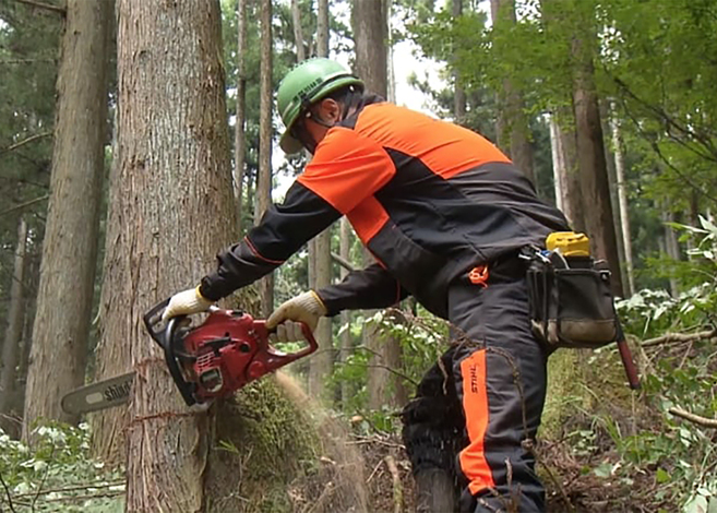 コンチネンタルホーム【構造材は国産檜100％。栃木県産材を積極利用し、山を守る地域貢献活動も】