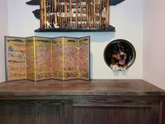 骨董をイメージして家具と建具はオリジナルデザイン。壁は傷や汚れ対策に愛犬の背丈で腰板をあしらった。匂いを分解し、調湿する自然素材の壁紙オガファーザーを取り入れている【スカイグラウンド】