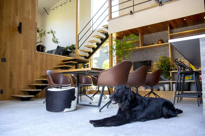 モデルハウス画像8