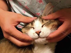 Iさま