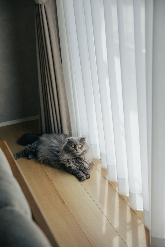 大きな窓から柔らかな日差しが差し込む、猫がくつろいでいるペット用スペース。居心地の良さそうな空間が広がっている。