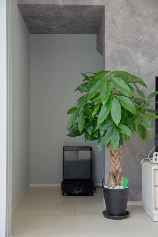 緑の観葉植物がアクセントとなったフリースペース。
グレーの壁が落ち着いた印象を与え、シンプルな収納ボックスがさりげなく配置されている。