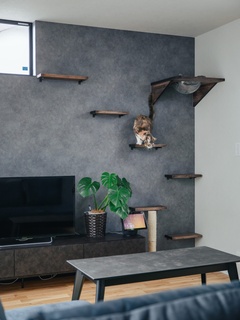 SEIEN ARCHITECT
