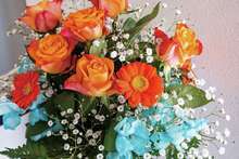 8年前の結婚を機に家づくりの情報収集をスタート。妊娠出産前に竣工・引越しまで済ませたかったが、結果的にじっくり検討でき、満足いく家づくりとなった。