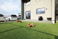 人工芝のドッグランは愛犬たちの大のお気に入り空間。窓を開けるとすぐに外に出て走り回るのが日課になった。テラスではバーベキューをする楽しみも！【コットンハウス】