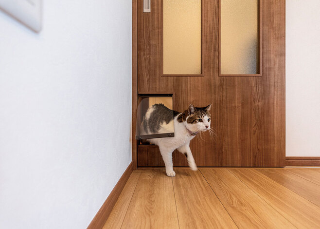 長年ともに暮らす愛猫も、自由に家の中を歩き回れるように、すべてのドアにキャットドアを設置している